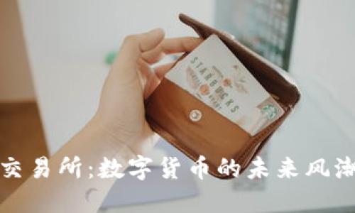 探索虚拟币交易所:数字货币的未来风潮与风险挑战