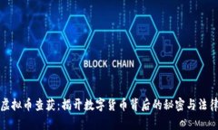 全球虚拟币查获：揭开数字货币背后的秘密与法