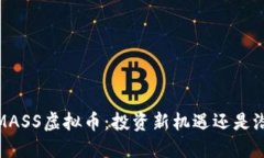 2023年MASS虚拟币：投资新机遇还是潜在风险？
