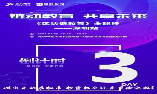 刚出来的虚拟币:投资机会还是冒险之旅?