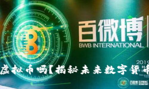 你真的了解HE虚拟币吗?揭秘未来数字货币的潜力与风险