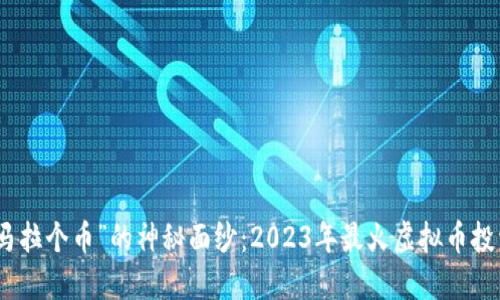 揭开“马拉个币”的神秘面纱：2023年最火虚拟币投资攻略