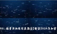 虚拟币 GEL：投资新机遇还是泡沫？解读2024年加密