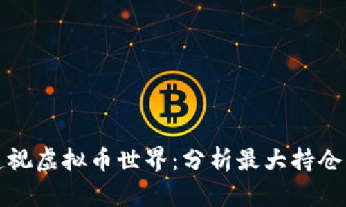 如何透视虚拟币世界：分析最大持仓的秘密