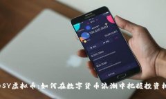 揭秘SY虚拟币：如何在数字货币浪潮中把握投资机
