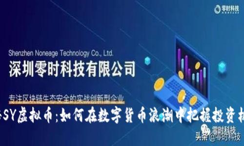 揭秘SY虚拟币：如何在数字货币浪潮中把握投资机会？