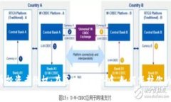 虚拟币投资者维权：在区块链世界中，如何保护