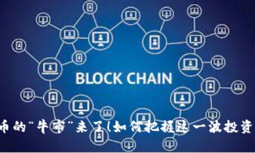 虚拟币的“牛市”来了！如何把握这一波投资热潮？