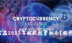 虚拟币崛起：如何在2023年捕捉投资机会？揭开数