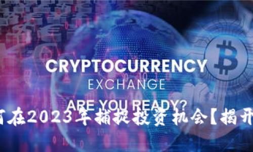虚拟币崛起：如何在2023年捕捉投资机会？揭开数字资产的秘密