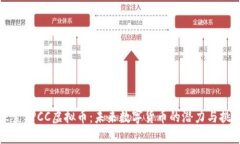 探索BPCC虚拟币：未来数字货币的潜力与挑战