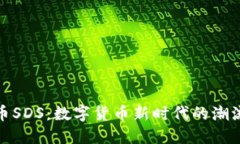   虚拟币SDS：数字货币新时代的潮流与机遇