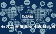 虚拟币聊天：如何在币圈社交中找到志同道合的