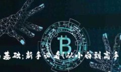 虚拟币交易基础：新手必看！从小白到高手的完