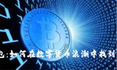 揭秘NPC虚拟币钱包：如何在数字货币浪潮中找到