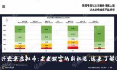 兴发米虚拟币：未来财富的新机遇，速来了解！