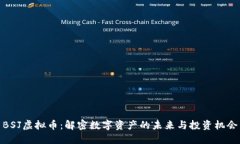 BSJ虚拟币：解密数字资产的未来与投资机会