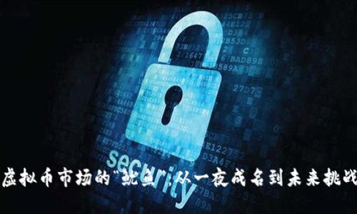虚拟币市场的“鱿鱼”：从一夜成名到未来挑战