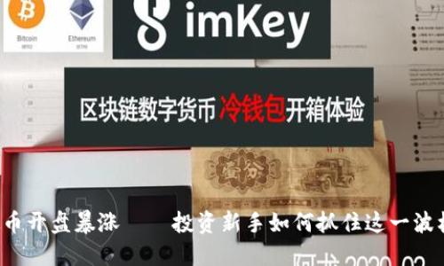虚拟币开盘暴涨——投资新手如何抓住这一波机会？