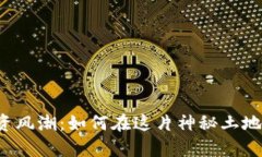 青海的虚拟币投资风潮：如何在这片神秘土地上