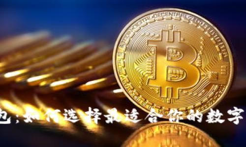 全球虚拟币钱包：如何选择最适合你的数字资产保护方案？