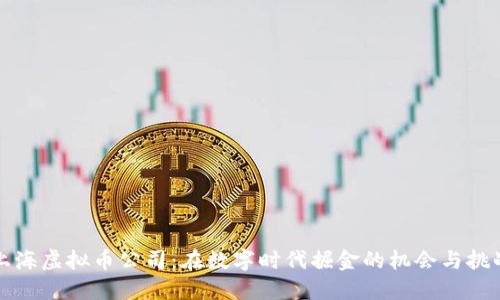上海虚拟币公司：在数字时代掘金的机会与挑战