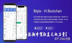 如何在虚拟币浪潮中驾驭美元的力量？