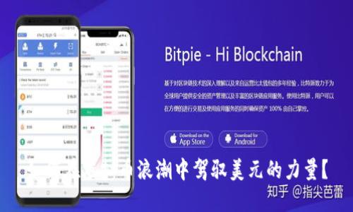 如何在虚拟币浪潮中驾驭美元的力量？