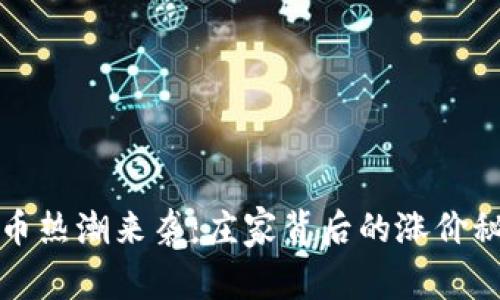 百度引擎虚拟币热潮来袭：庄家背后的涨价秘密与投资策略