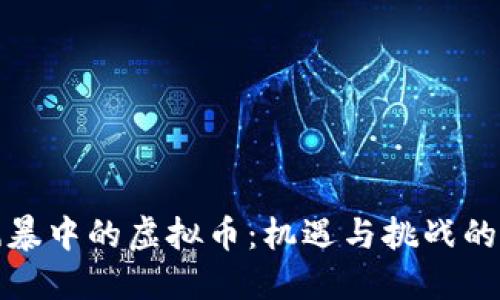 海南风暴中的虚拟币：机遇与挑战的双刃剑