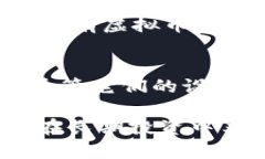 在讨论不增发的虚拟币之前，我们首先需要了解