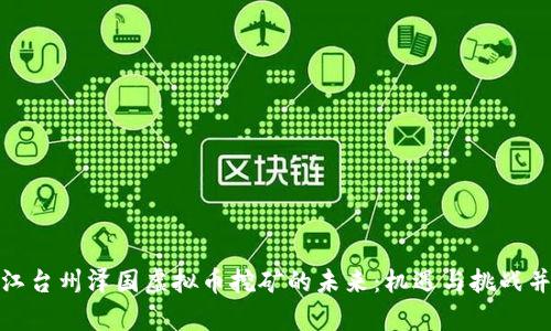 浙江台州泽国虚拟币挖矿的未来：机遇与挑战并存