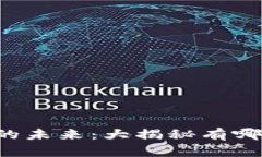 虚拟币支付的未来：大揭秘有哪些龙头企业？
