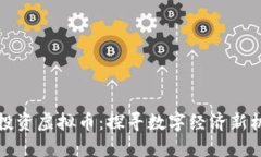 上海政府投资虚拟币：探寻数字经济新机遇与挑