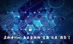 虚拟币Himi：未来金融的“宝藏”还是“泡影”？