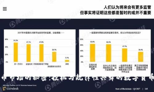 虚拟币市场的秘密:投机与规律性共舞的数字货币现象