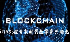 虚拟币NAS：探索新时代数字资产的无限可能