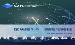 炒虚拟币：从零基础到交易高手，揭秘行业内幕