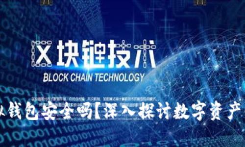 比特币虚拟钱包安全吗？深入探讨数字资产保护的未来