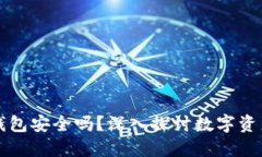 比特币虚拟钱包安全吗？深入探讨数字资产保护