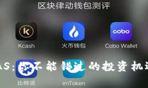 揭秘虚拟币CAS：你不能错过的投资机遇与背后故事！