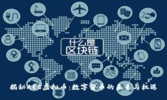 揭秘AEC虚拟币：数字货币的未来与机遇