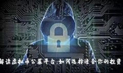 全面解读虚拟币公募平台：如何选择适合你的投