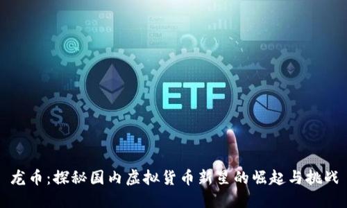 龙币：探秘国内虚拟货币新星的崛起与挑战