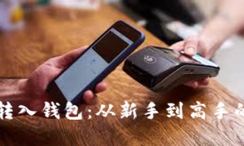 虚拟币转入钱包：从新手到高手的全攻略