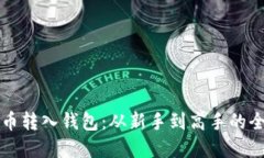 虚拟币转入钱包：从新手到高手的全攻略