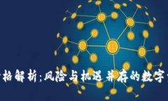 SMC虚拟币价格解析：风险与机遇并存的数字资产