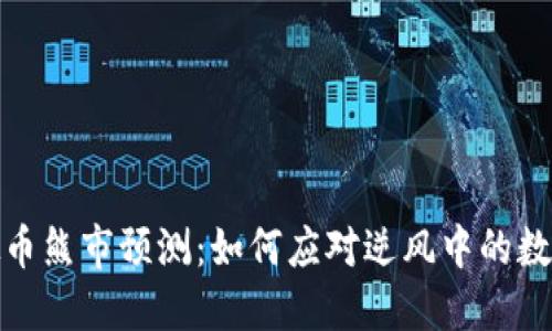 2024年虚拟币熊市预测：如何应对逆风中的数字货币投资？
