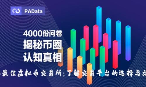 2023年最佳虚拟币交易所：了解交易平台的选择与文化背景