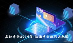 虚拟币的2019年：狂潮中的挑战与机遇